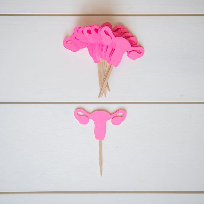 Uterus Ovary Hysterectomy Party Pick Cupcake Toppers