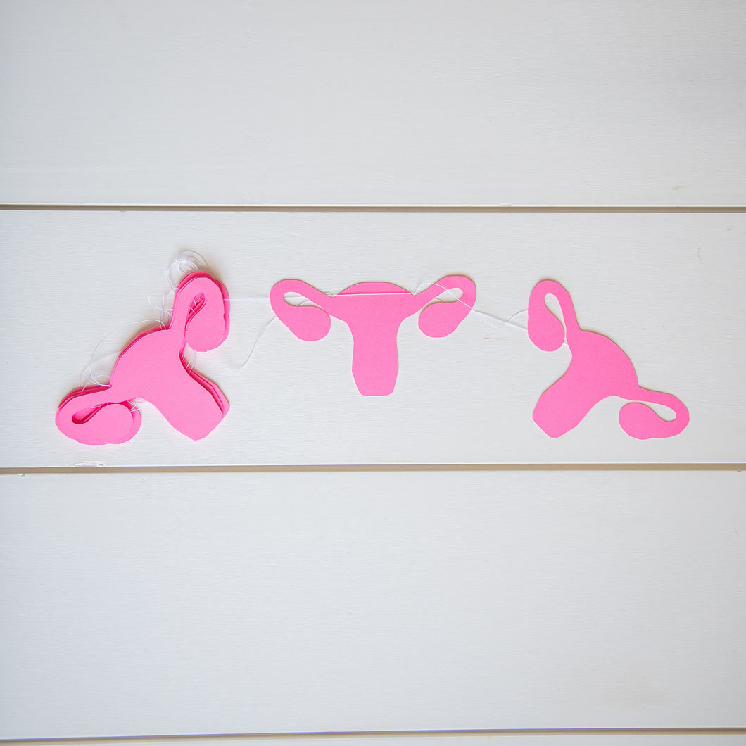Hot Pink Uterus Ovary Girl Power Female Empowerment Party Decorations